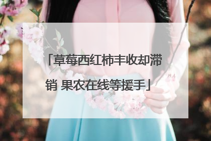 草莓西红柿丰收却滞销 果农在线等援手