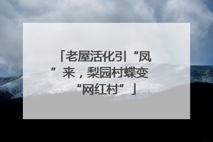 老屋活化引“凤”来，梨园村蝶变“网红村”