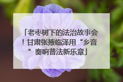 老枣树下的法治故事会！甘肃张掖临泽用“乡音”奏响普法新乐章