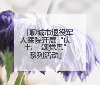 聊城市退役军人医院开展“庆七一 颂党恩”系列活动
