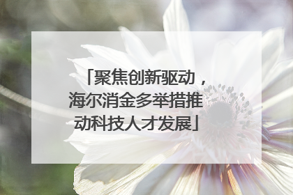 聚焦创新驱动，海尔消金多举措推动科技人才发展