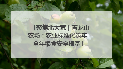 聚焦北大荒｜青龙山农场：农业标准化筑牢全年粮食安全根基