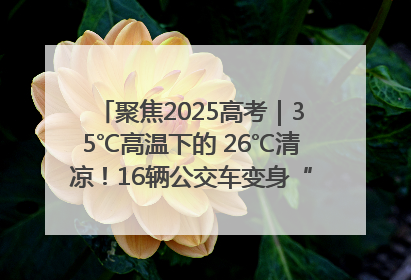 聚焦2025高考｜35℃高温下的 26℃清凉！16辆公交车变身“助考驿站”为高考护航
