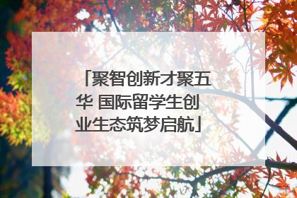 聚智创新才聚五华 国际留学生创业生态筑梦启航