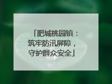 肥城桃园镇：筑牢防汛屏障，守护群众安全