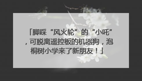 脚踩“风火轮”的“小吒”，可脱离遥控板的机器狗，泡桐树小学来了新朋友！