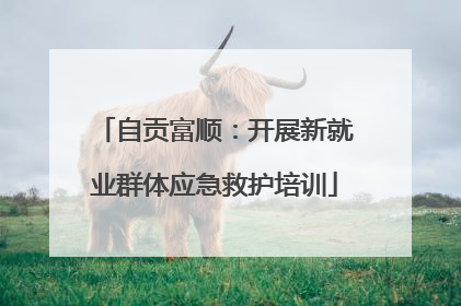 自贡富顺：开展新就业群体应急救护培训
