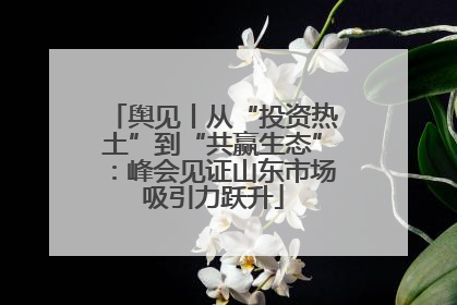 舆见丨从“投资热土”到“共赢生态”：峰会见证山东市场吸引力跃升