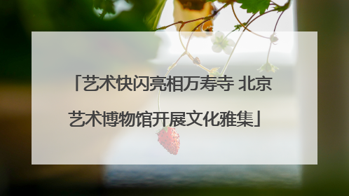 艺术快闪亮相万寿寺 北京艺术博物馆开展文化雅集