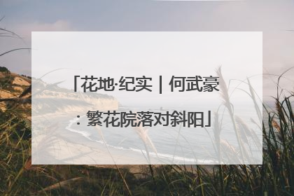 花地·纪实｜何武豪：繁花院落对斜阳