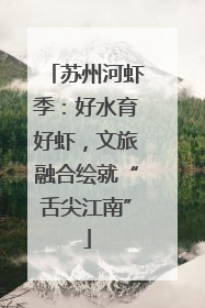 苏州河虾季：好水育好虾，文旅融合绘就“舌尖江南”