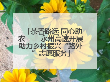茶香路远 同心助农——永州高速开展助力乡村振兴“路外”志愿服务