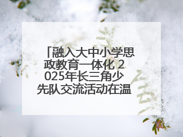 融入大中小学思政教育一体化 2025年长三角少先队交流活动在温岭举办