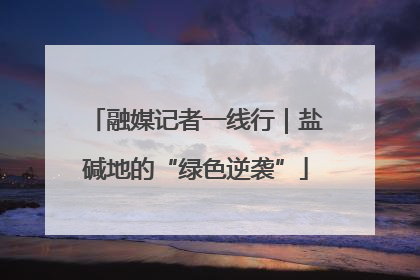 融媒记者一线行｜盐碱地的“绿色逆袭”