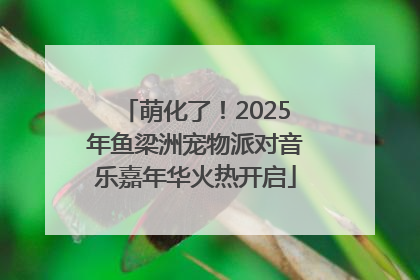 萌化了！2025年鱼梁洲宠物派对音乐嘉年华火热开启