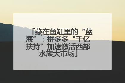 藏在鱼缸里的“蓝海”：拼多多“千亿扶持”加速激活西部水族大市场
