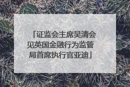 证监会主席吴清会见英国金融行为监管局首席执行官亚迪