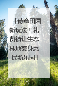 诗意田园新玩法！礼贤镇让生态林地变身惠民新乐园