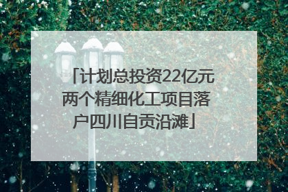 计划总投资22亿元 两个精细化工项目落户四川自贡沿滩