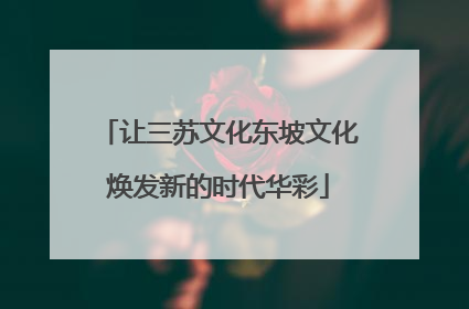 让三苏文化东坡文化焕发新的时代华彩