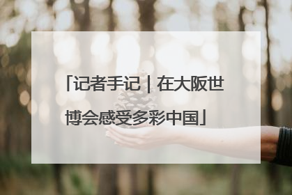 记者手记｜在大阪世博会感受多彩中国