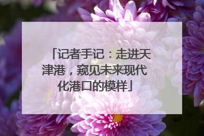 记者手记：走进天津港，窥见未来现代化港口的模样