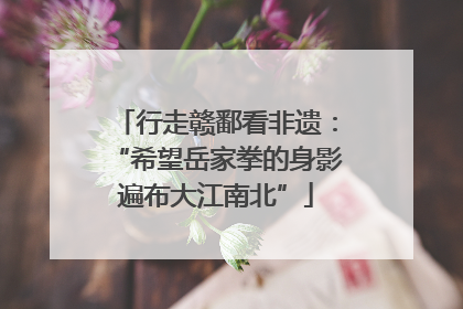 行走赣鄱看非遗：“希望岳家拳的身影遍布大江南北”