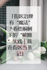 街区治理有“魔法”？看梧桐树下的“破圈”实践｜我在街区当书记
