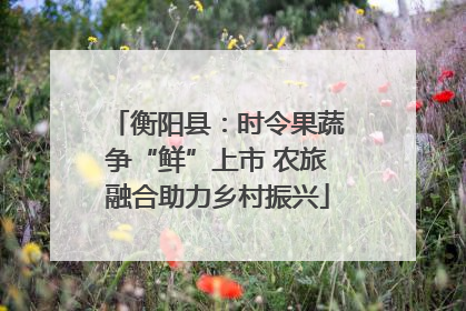 衡阳县：时令果蔬争“鲜”上市 农旅融合助力乡村振兴
