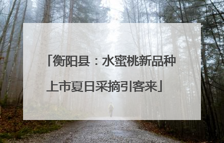 衡阳县：水蜜桃新品种上市夏日采摘引客来