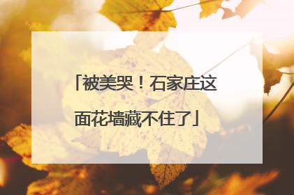 被美哭！石家庄这面花墙藏不住了
