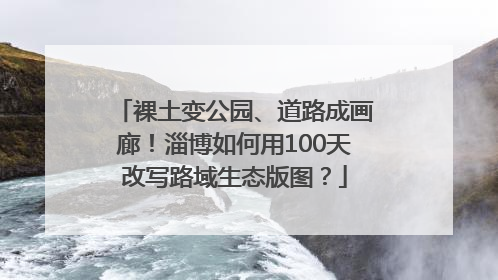 裸土变公园、道路成画廊！淄博如何用100天改写路域生态版图？