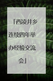 西凌井乡连续四年举办经验交流会