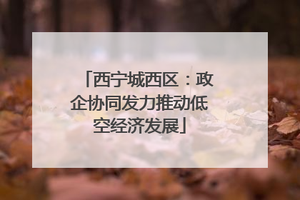 西宁城西区：政企协同发力推动低空经济发展