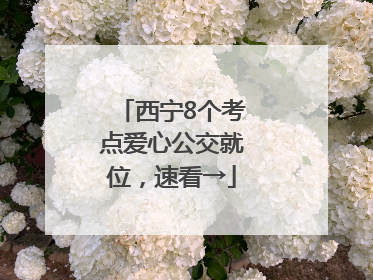 西宁8个考点爱心公交就位，速看→