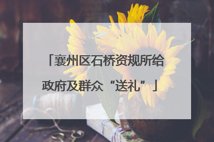 襄州区石桥资规所给政府及群众“送礼”
