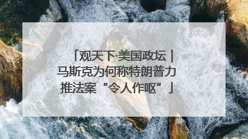 观天下·美国政坛｜马斯克为何称特朗普力推法案“令人作呕”