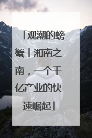 观潮的螃蟹丨湘南之南，一个千亿产业的快速崛起
