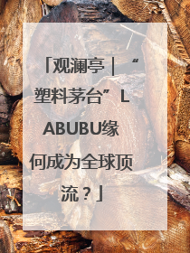观澜亭｜“塑料茅台”LABUBU缘何成为全球顶流？