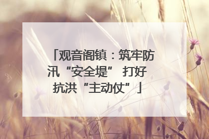 观音阁镇：筑牢防汛“安全堤” 打好抗洪“主动仗”
