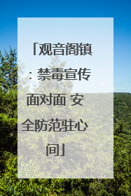 观音阁镇：禁毒宣传面对面 安全防范驻心间