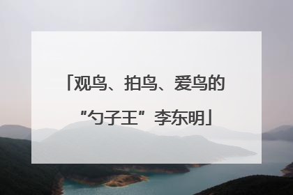 观鸟、拍鸟、爱鸟的“勺子王”李东明