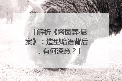 解析《酱园弄·悬案》：造型暗语背后，有何深意？