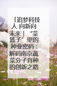 追梦科技人 向新向未来｜“菜篮子”里的种业密码：解码南京蔬菜分子育种的创新之路