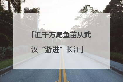 近千万尾鱼苗从武汉“游进”长江