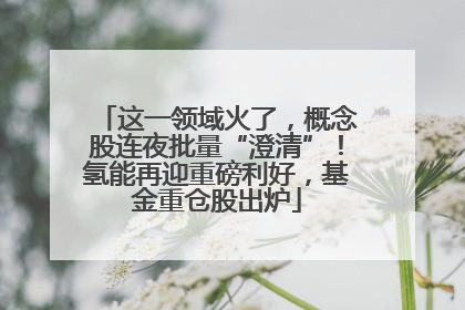 这一领域火了，概念股连夜批量“澄清”！氢能再迎重磅利好，基金重仓股出炉