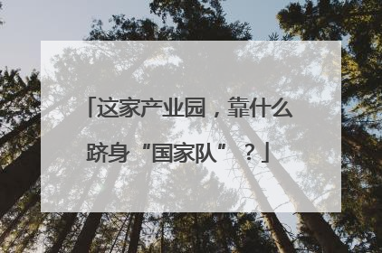这家产业园，靠什么跻身“国家队”？