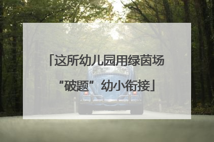 这所幼儿园用绿茵场“破题”幼小衔接