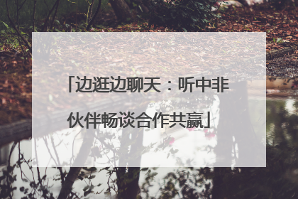 边逛边聊天：听中非伙伴畅谈合作共赢