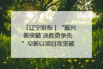辽宁发布｜“振兴新突破 决胜勇争先”阜新以项目攻坚破解发展瓶颈 经济发展实现良好开局